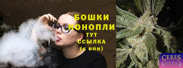 твердый Мегион