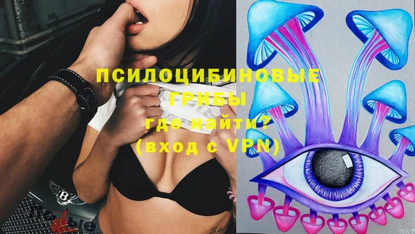 твердый Мегион