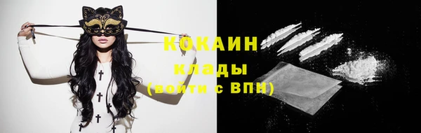 твердый Мегион