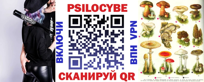 Псилоцибиновые грибы мухоморы  наркотики  Шилка 
