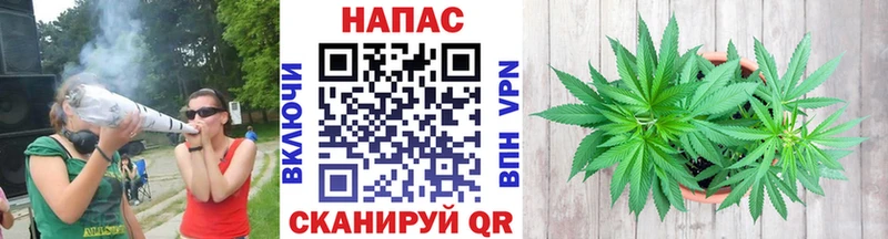 МАРИХУАНА White Widow  Шилка 